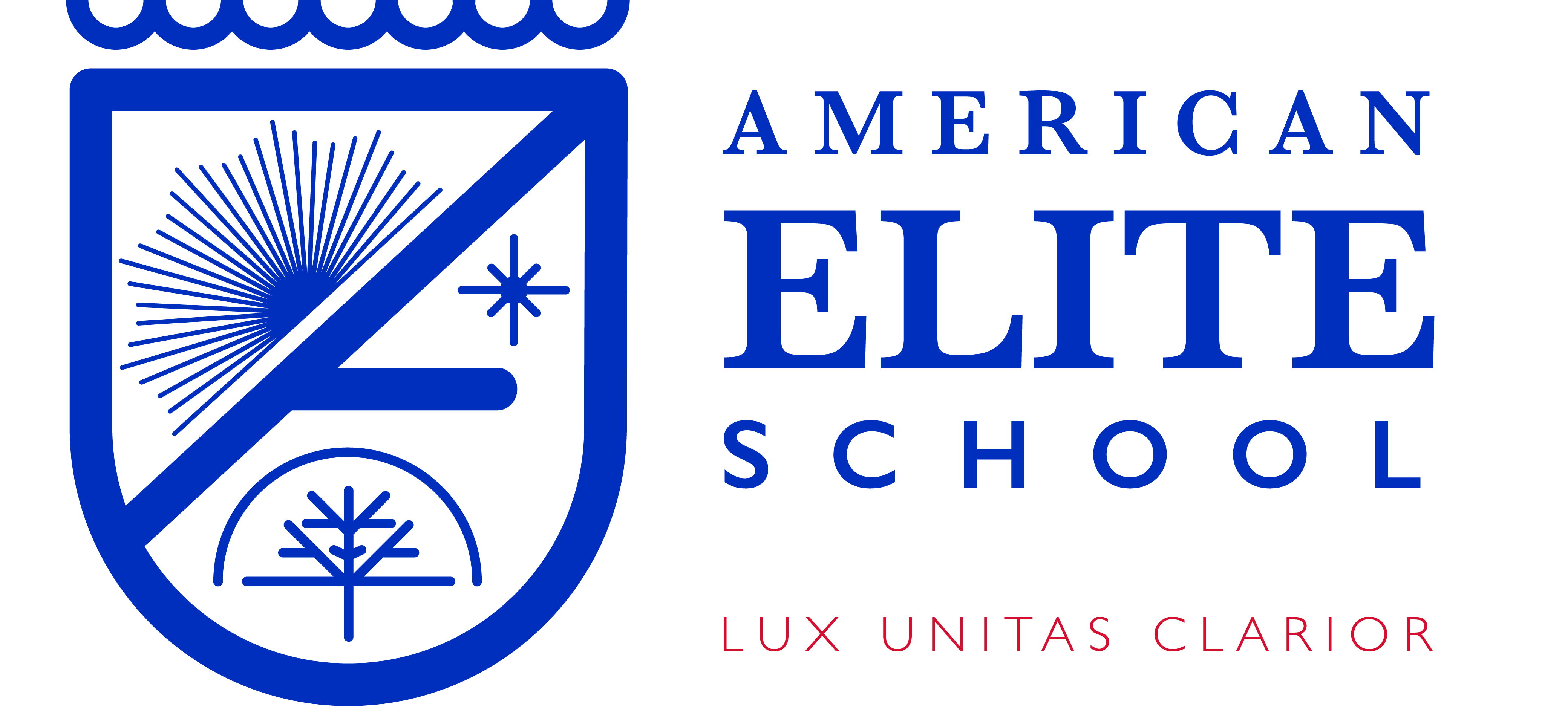 American Elite School